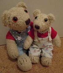 Teddy